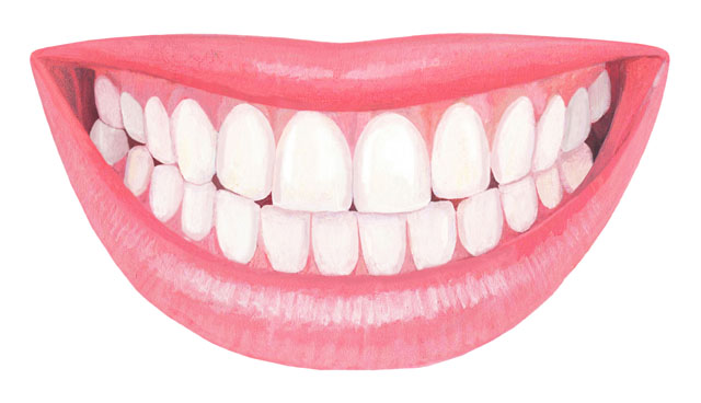 真っ白な歯